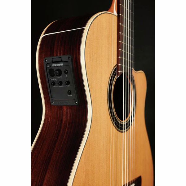 Alhambra CS-LR CW E1 incl. Gig Bag