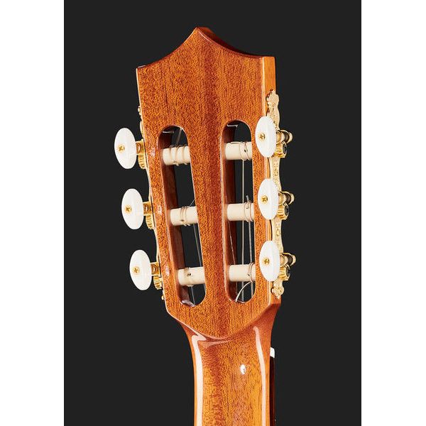 Alhambra CS-LR CW E1 incl. Gig Bag