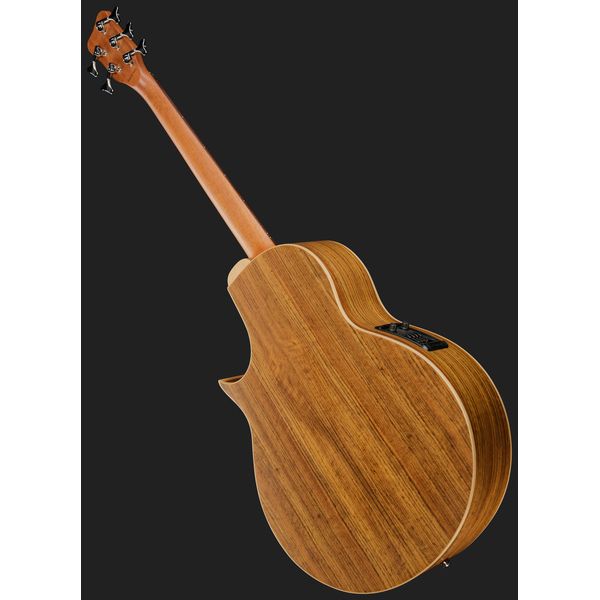 Warwick Alien 5 NT