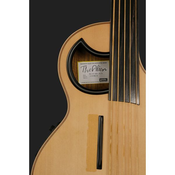 Warwick Alien 5 NT FL