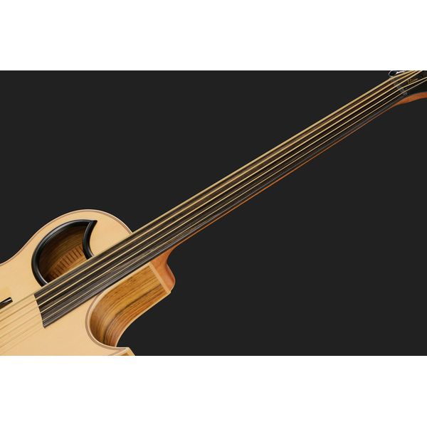 Warwick Alien 5 NT FL