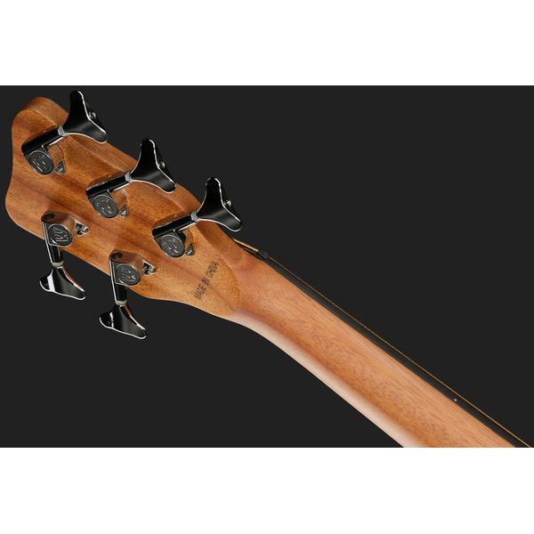 Warwick Alien 5 NT FL