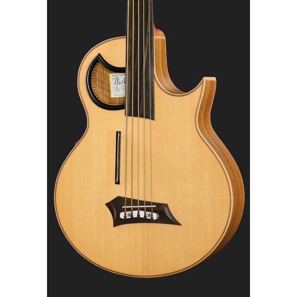 Warwick Alien 5 NT FL