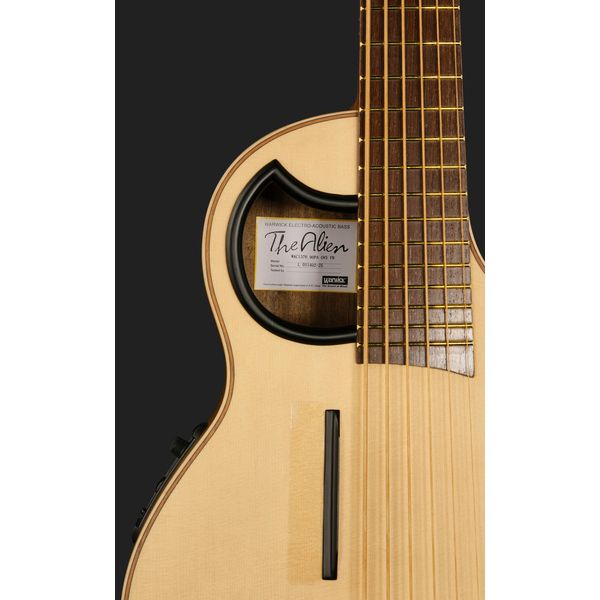 Warwick Alien 6 NT