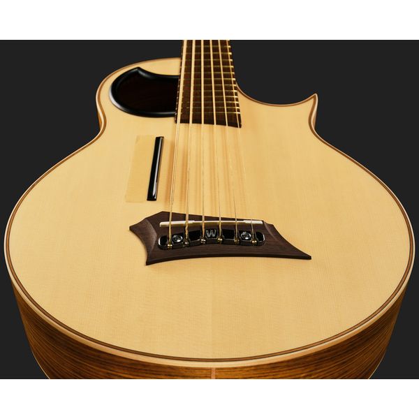 Warwick Alien 6 NT