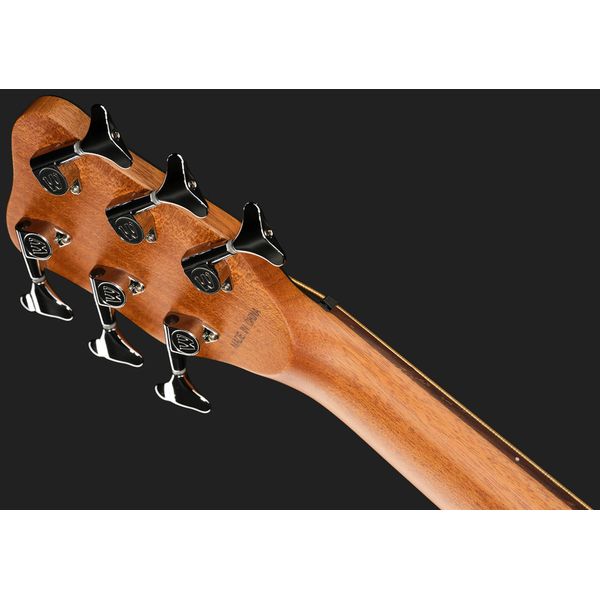 Warwick Alien 6 NT