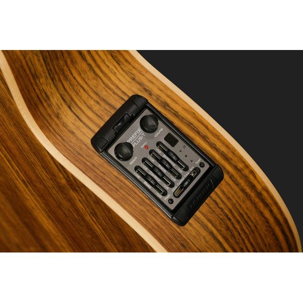 Warwick Alien 6 NT FL
