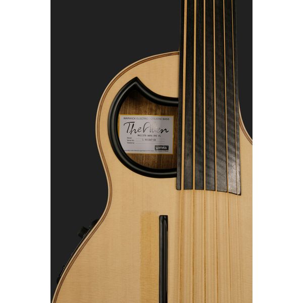 Warwick Alien 6 NT FL
