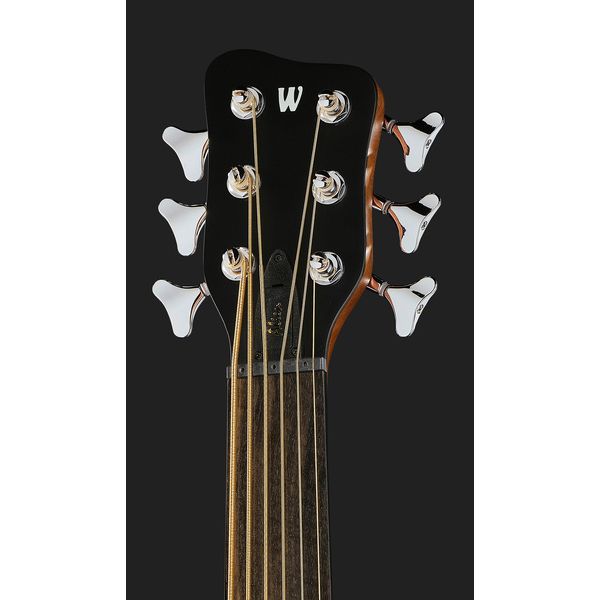 Warwick Alien 6 NT FL