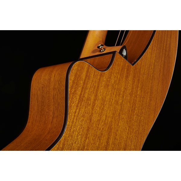 Timberline Guitars T30HGpc-e Harp Guitar