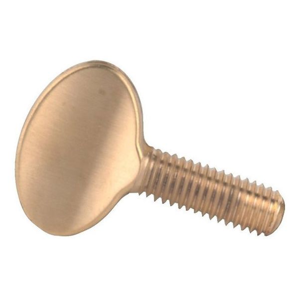 Gewa Replacement Screw for 414648