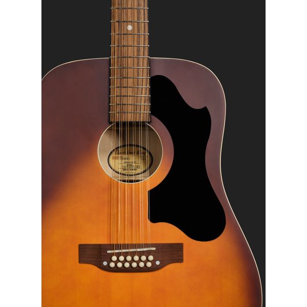 Recording King RDS-9-12-TS 12 String