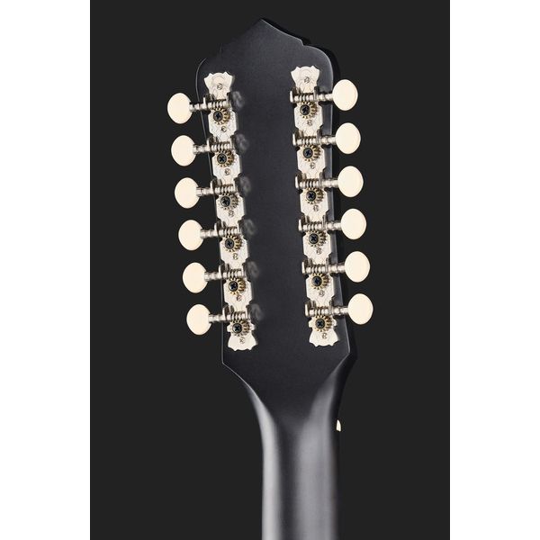 Recording King RDS-9-12-TS 12 String