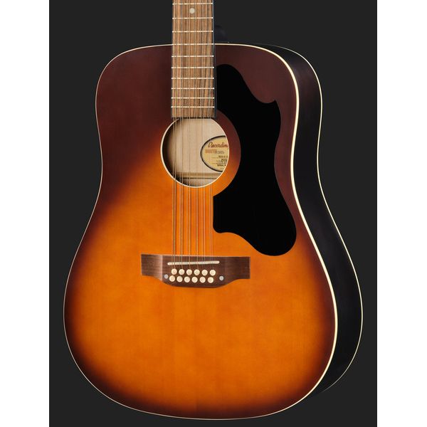 Recording King RDS-9-12-TS 12 String