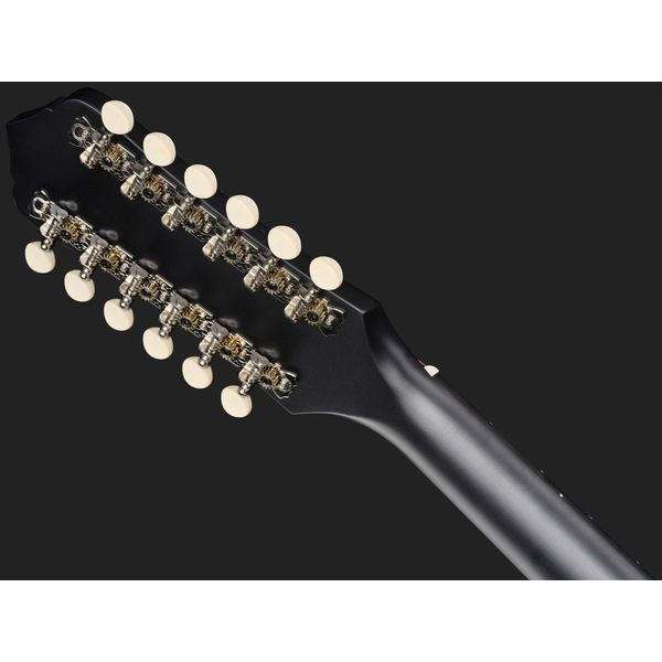 Recording King RDS-9-12-TS 12 String
