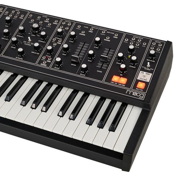 Moog Matriarch Dark