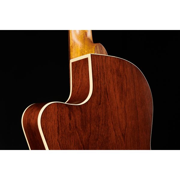 Godin Arena CW Classic