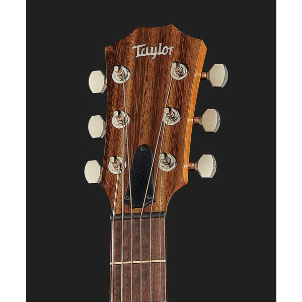 Taylor GT Urban Ash/Spruce