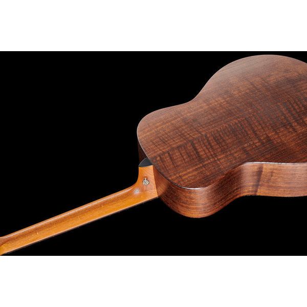 Taylor GT Urban Ash/Spruce