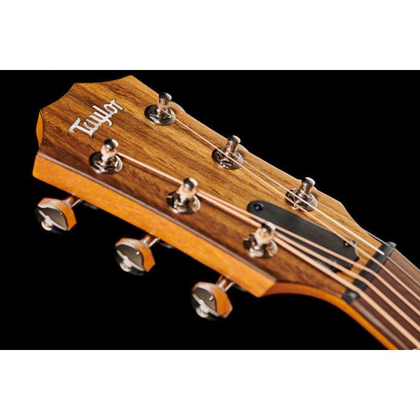 Taylor GT Urban Ash/Spruce