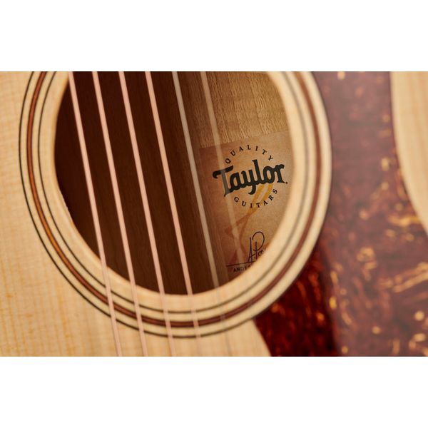 Taylor GT Urban Ash/Spruce