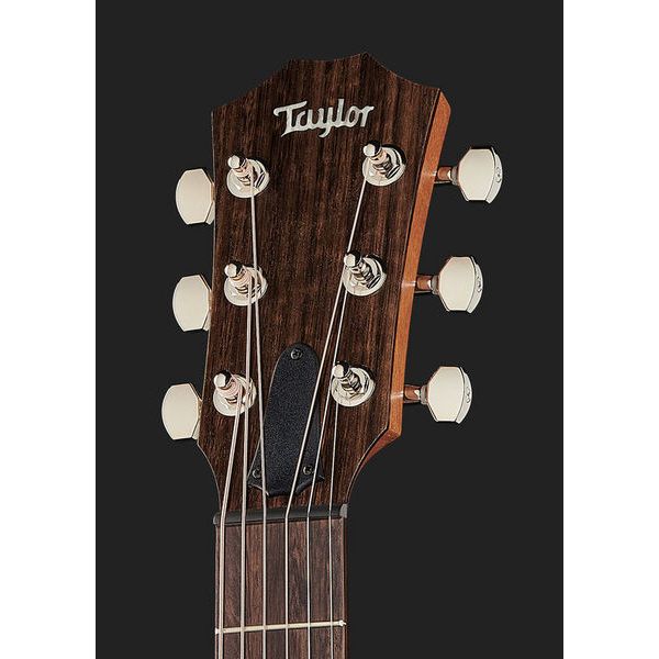 Taylor GTe Urban Ash/Spruce