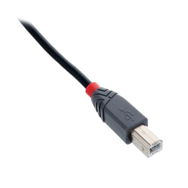 Lindy USB 2.0 Typ A/B 1m