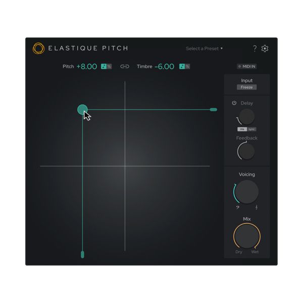 Zplane Elastique Pitch
