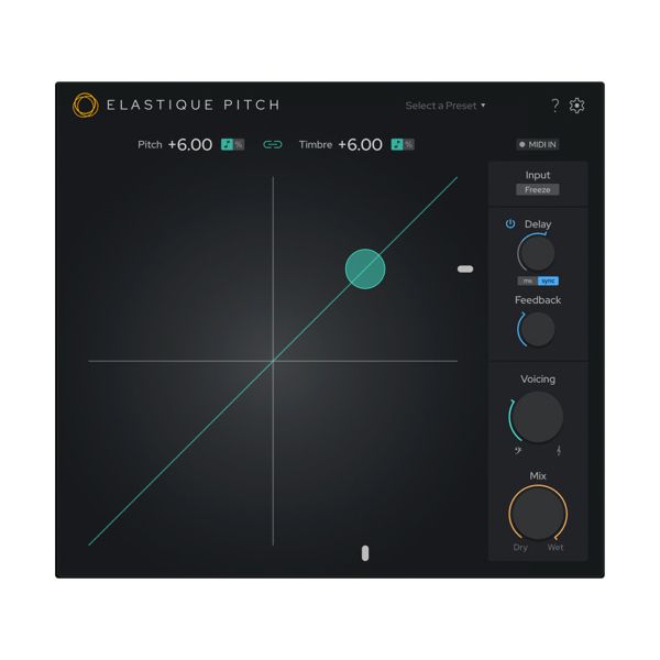 Zplane Elastique Pitch