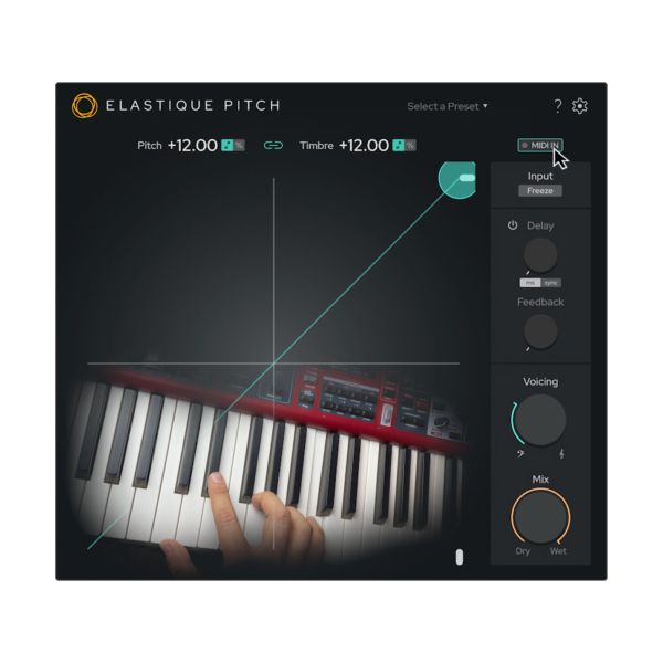 Zplane Elastique Pitch