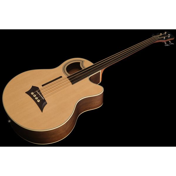 Warwick Alien Deluxe Hybrid 4 FL NT