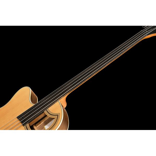 Warwick Alien Deluxe Hybrid 4 FL LH NT