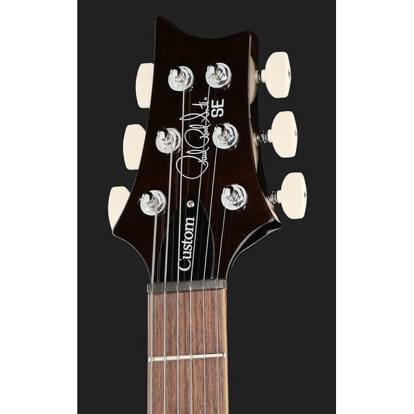 PRS SE Custom 24 BG