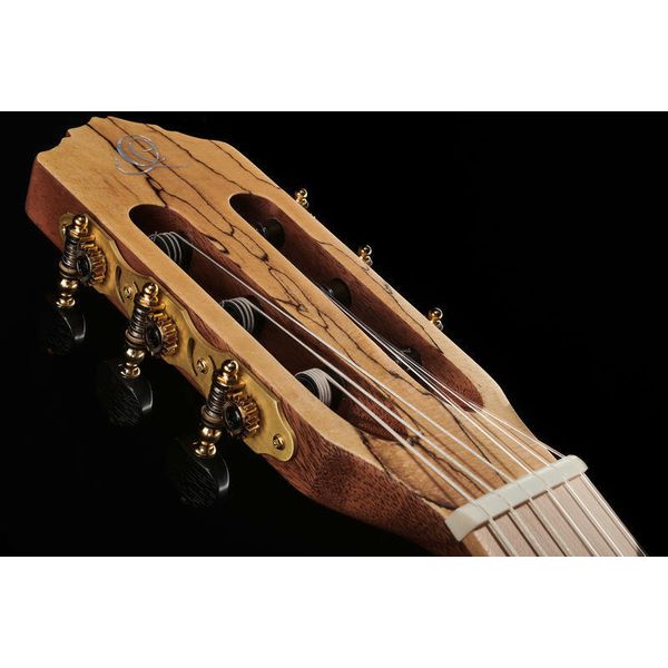 Ortega TZSM-3 Thomas Zwijsen