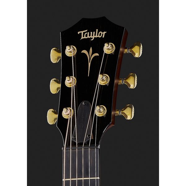 Taylor GT K21e