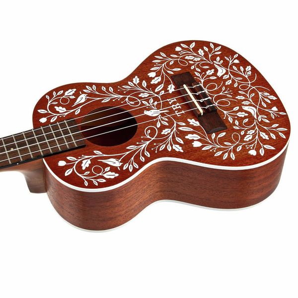 Kala Tenor Ukulele Starter Kit