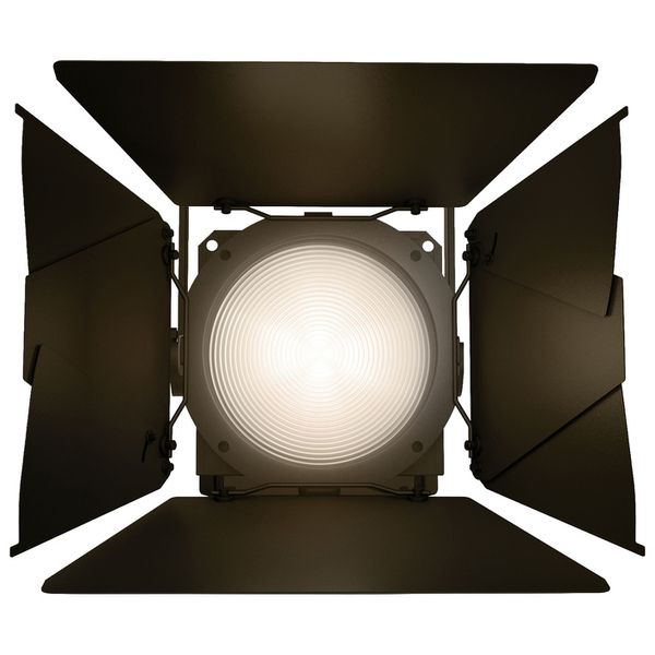 Cameo F2 T