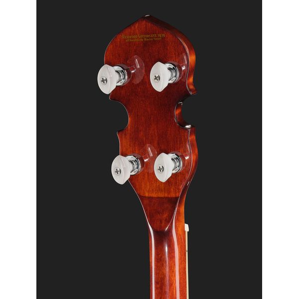 Richwood RMB-904 Tenor Banjo