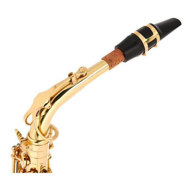 Steinhoff Intermediate Alto Saxophone (Silver) – Muso City