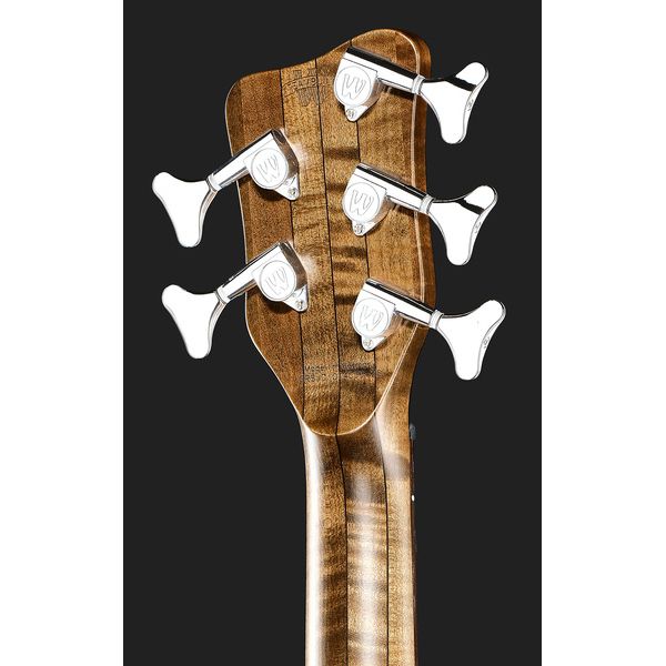 Warwick Pro Series Streamer Stage I 5