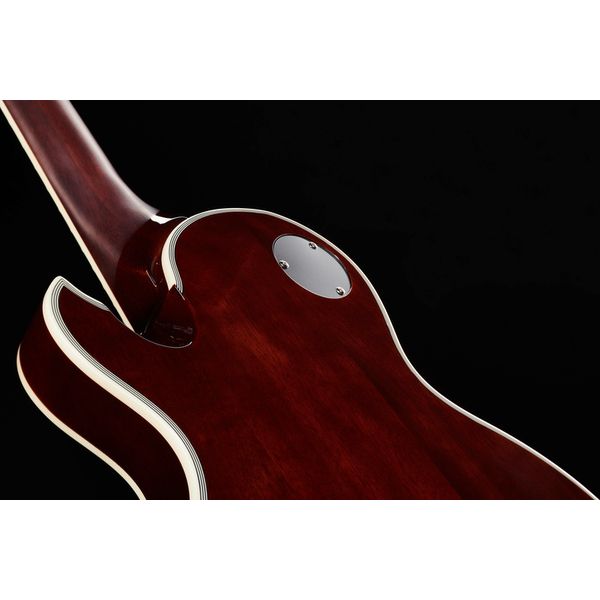 Schecter Solo-II Custom GNAT