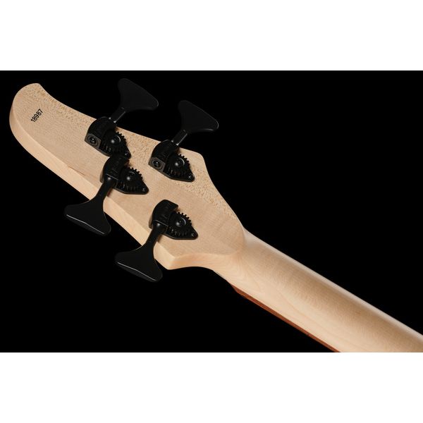 Dingwall D-Roc Standard BPC Matte