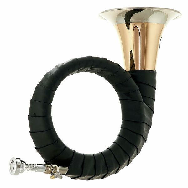 Dotzauer Meister Bb Horn 18825 Set