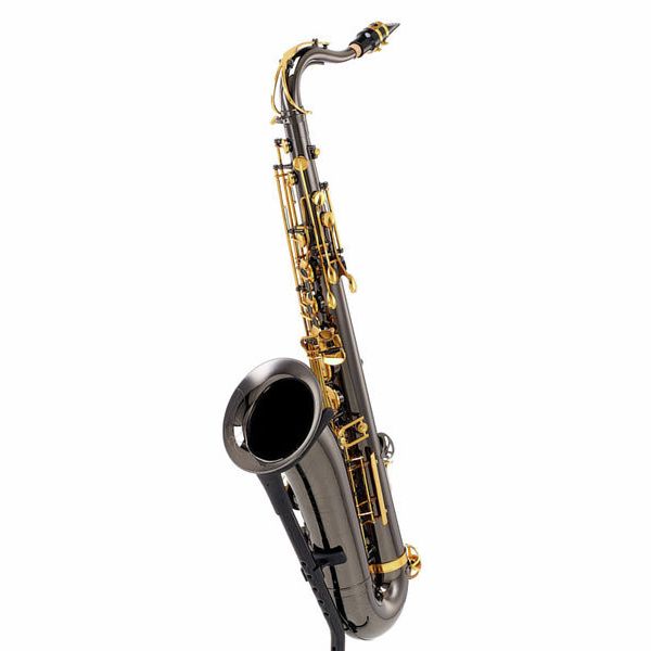 Kit de nettoyage pour saxophone Ensemble de Support de Saxophone