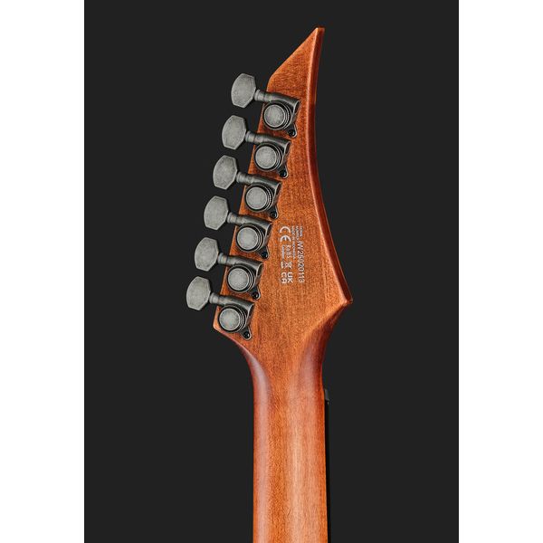 Solar Guitars T1.6D Aged Natural