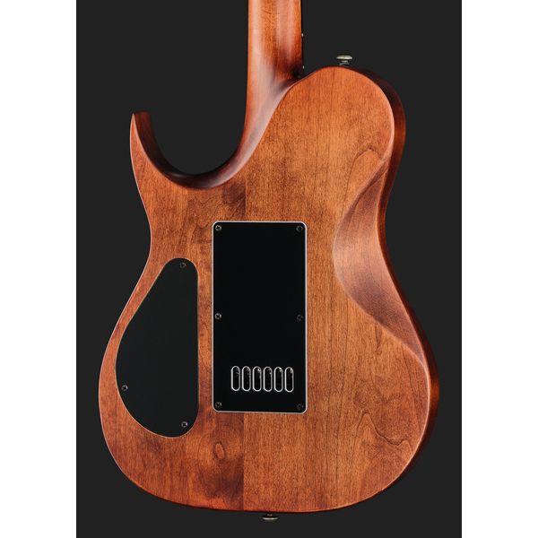Solar Guitars T1.6D Aged Natural