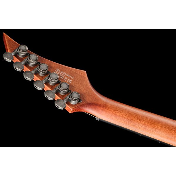 Solar Guitars T1.6D Aged Natural