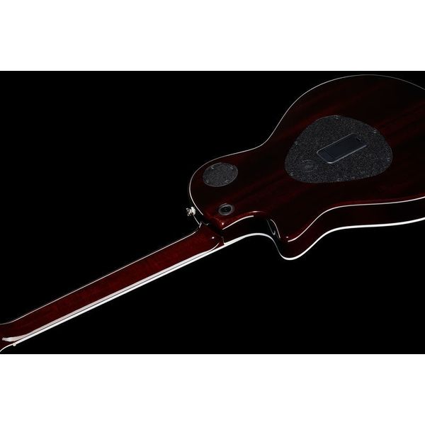 Taylor T5z Standard TS