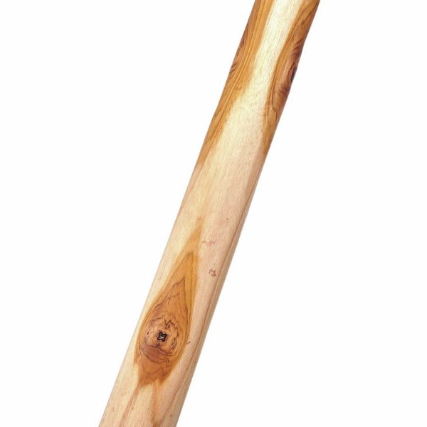 Thomann Didgeridoo Eucalyp. Proline E – Thomann United States