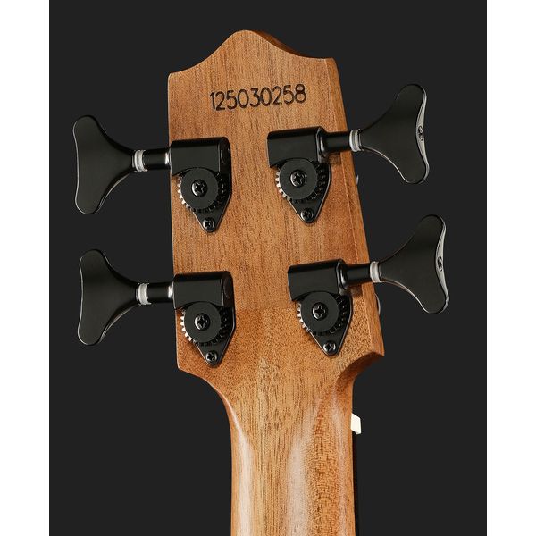 Kala U-Bass Journeyman NT